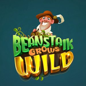 Beanstalk Grows Wild