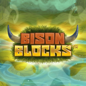 Bison Blocks