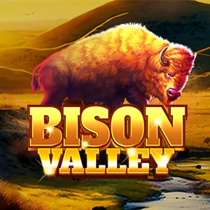 Bison Valley