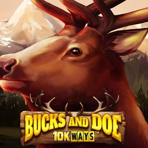 Bucks and Doe 10K Ways