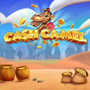 Cash Camel