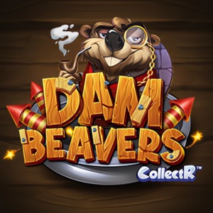 Dam Beavers