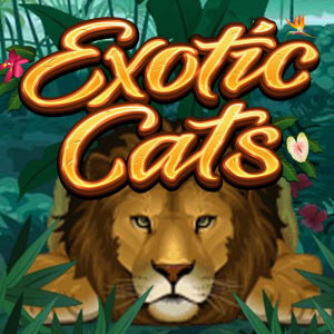 Exotic Cats