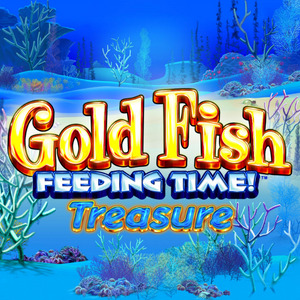 Gold Fish Feeding Time