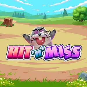 Hit ‘N’ Miss