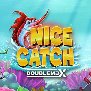Nice Catch DoubleMax