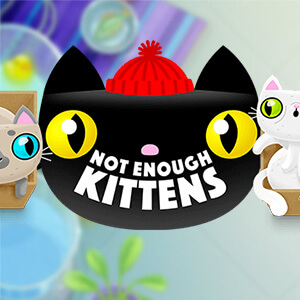 Not Enough Kittens