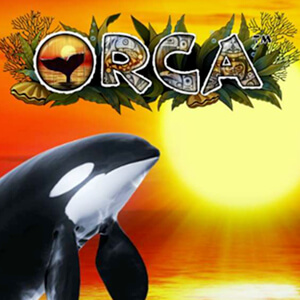 Orca