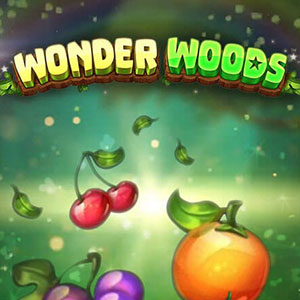 Wonder Woods